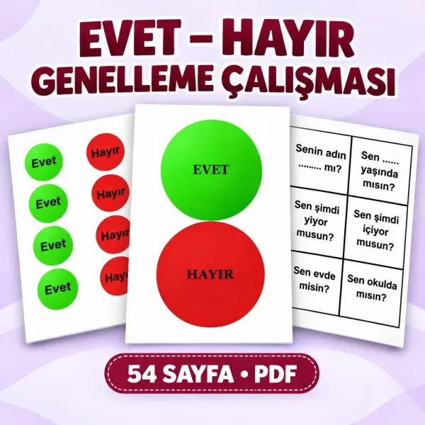 Evet–Hayır Genelleme Çalışması | Dijital Materyal PDF